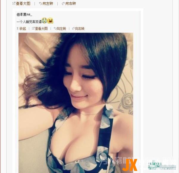 洋葱na_照片