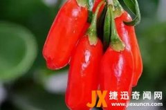 尕是什么意思（网络用语-什么梗）
