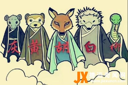 硬核学术研究：东北的“出马仙”和“保家仙”到底是什么？