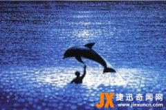 什么动物最聪明 世界上动物智商排名前