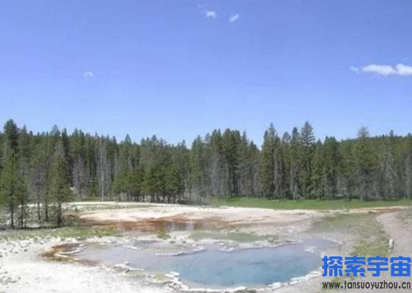极限生命是什么？宇宙中是否也存在极限生命呢？地球上的生命极客