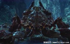 霍氏不死虫真的存在么，几千万年前的确