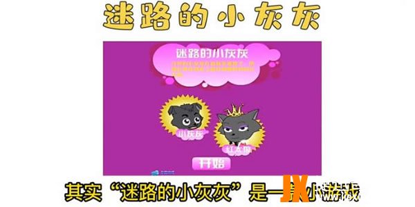 迷路的小灰灰是什么梗 迷路的小灰灰表情图片